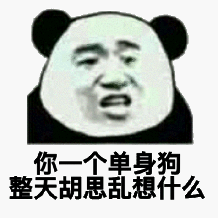 单身狗_熊猫_胡思乱想_整天_什么表情这傻逼又说什么呢(猫咪表情包)