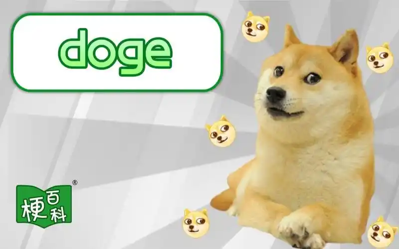 梗百科doge是啥梗神烦狗是怎么来的