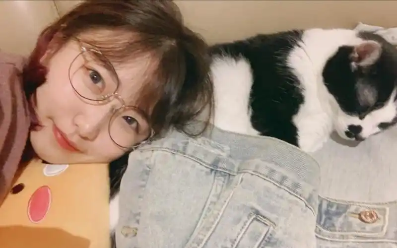 温迪cv 【喵☆酱】01/04 原神录播 完整版_哔哩哔哩_bilibili