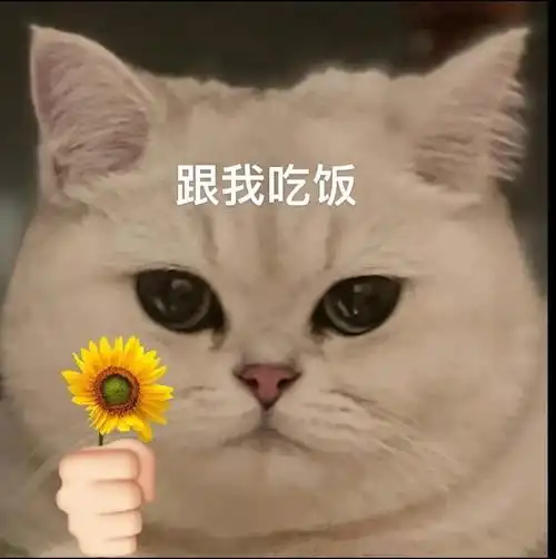 适合和老公/男票撒娇的表情包2