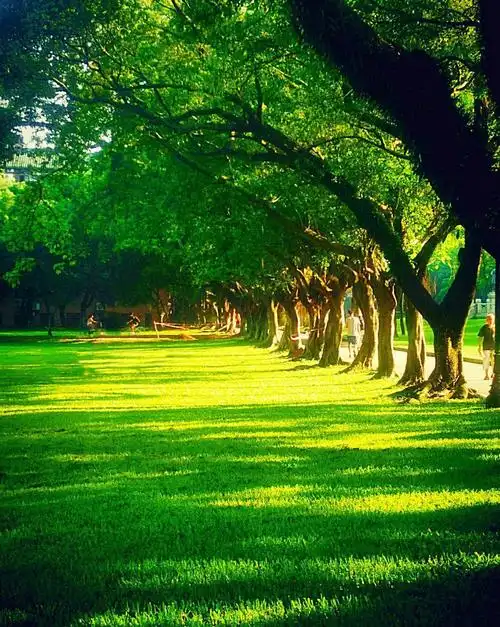 判定照片曝光过度的4个窍门