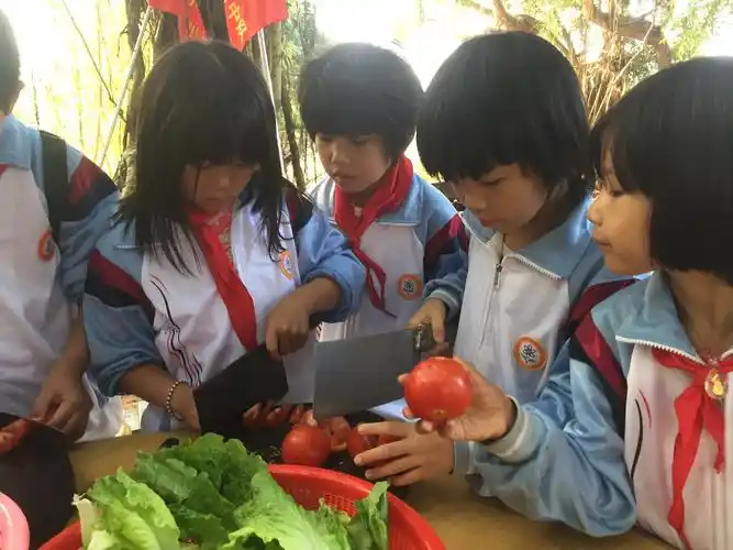 看,二年级的小朋友多棒呀!她们切菜多认真,手艺不错