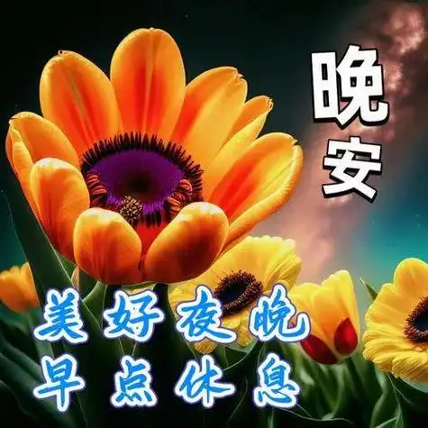 晚上好图片精选祝福语晚上好祝福语晚上好幸福暖心的问候图片
