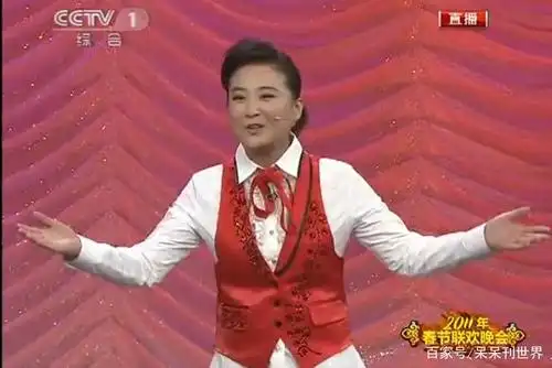 2011年央视春晚《芝麻开门》