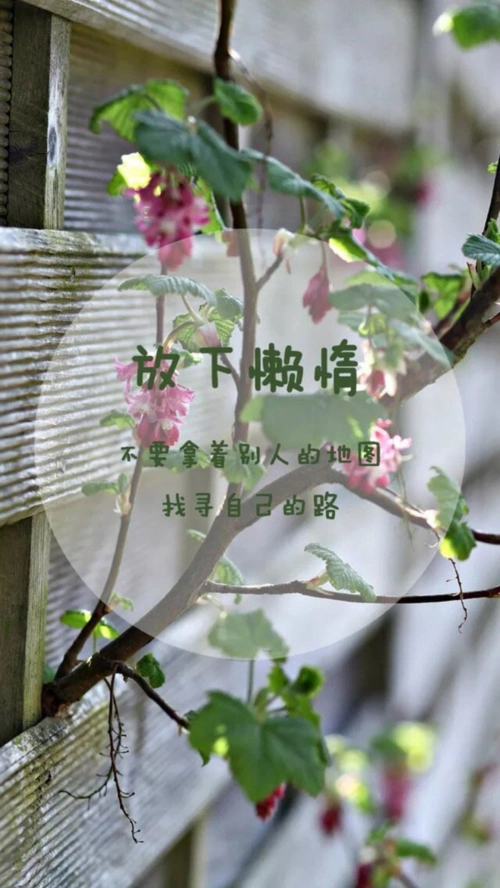 励志文言小清新唯美背景图片