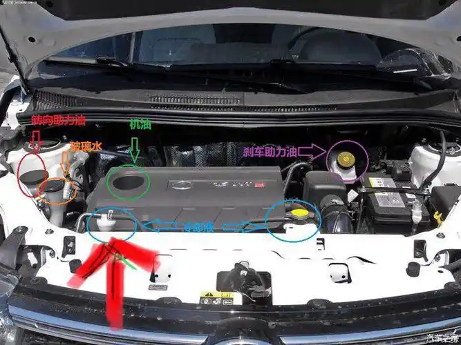 防冻液?到底加在那个里面?