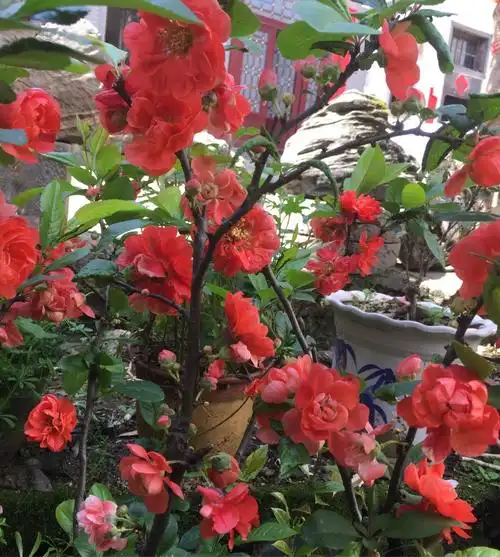 美川一一大美山川