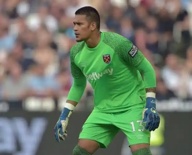 恭喜阿雷奥拉完成铁锤帮首秀用比赛来回应,再接再厉!