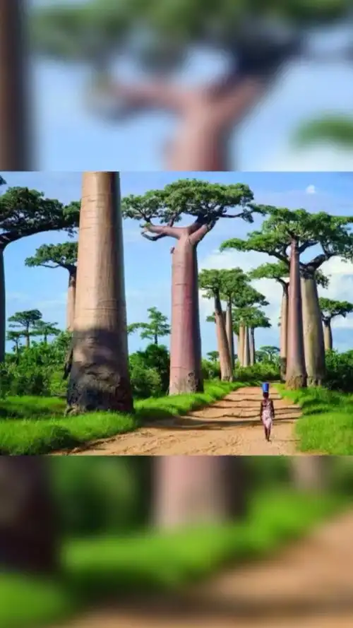 若是生活报我以蜜糖,我深怀感激;若是生活报我以