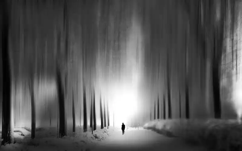 印象主义:灰色的阴影 梦幻摄影黑白风光风景宽屏壁纸壁纸图片