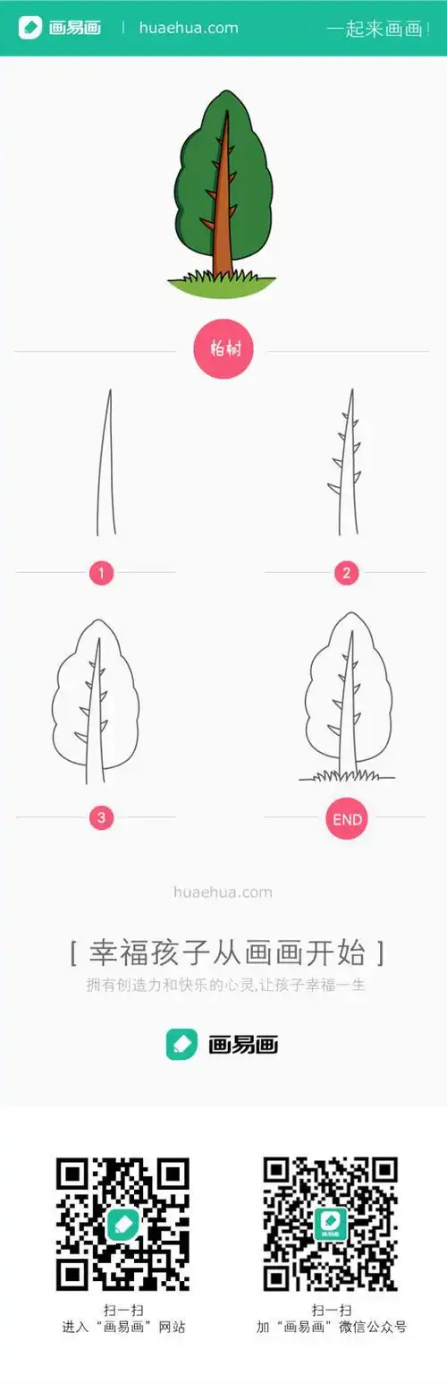 柏树怎么画简笔画教程