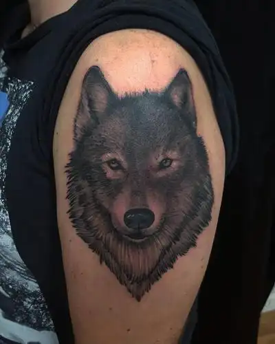 宣先生大臂写实狼纹身图案