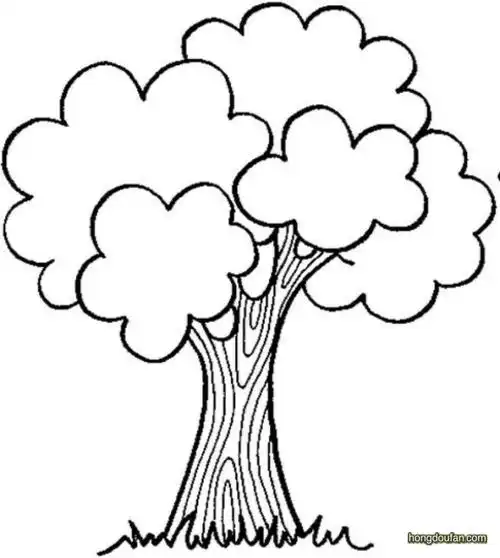 一棵茂盛的大树要如何画大树简笔画大全