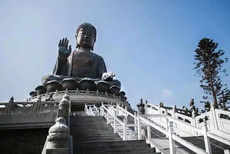 香港有哪些旅游景点好玩(香港旅游景点哪些好玩)