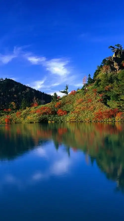 iphone 壁纸 蓝天碧水 山青青