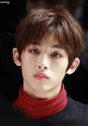 董思成 dong sicheng