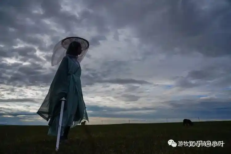 武侠梦马背英雄梦