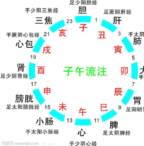 十二经络时辰表