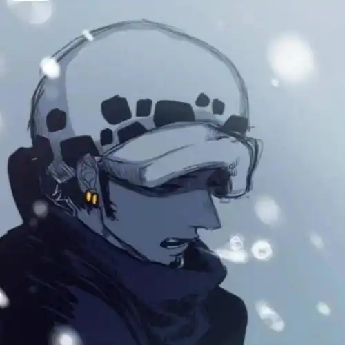 海贼王头像罗殿