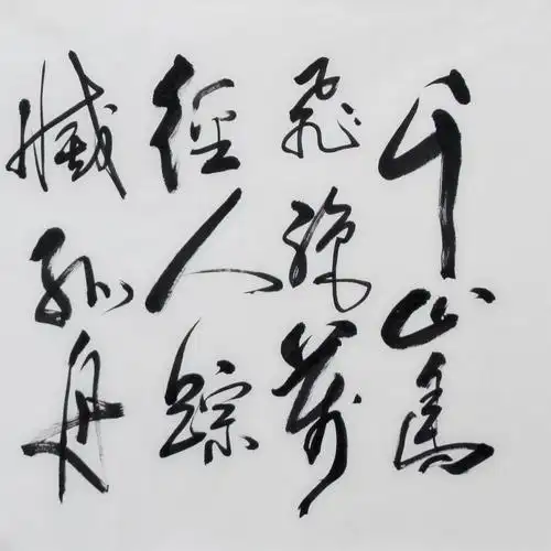 国家一级书法师张树保《江雪》