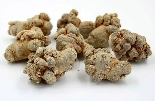 《本草精荟》:止血活血要药:三七的功效与应用