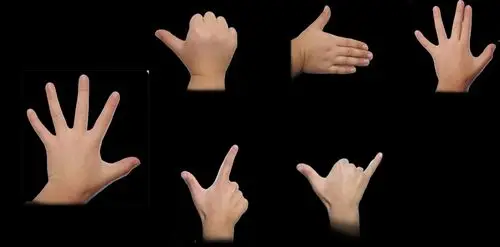 课堂《手形添画》 写美篇请同学们伸出你的小手,来玩一玩摆手势的游戏