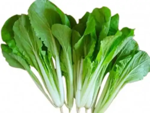 小白菜的功效与作用