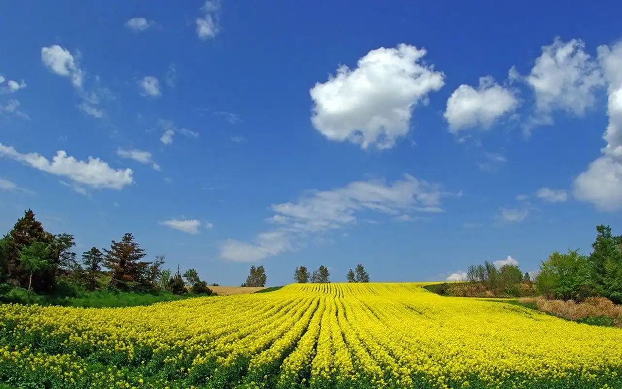 唯美辽阔的天空风景图片桌面壁纸