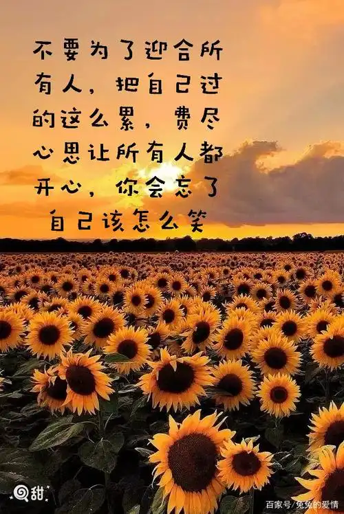 最美走心图文分享