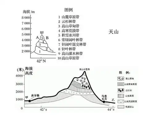 18座山脉的垂直自然带谱总结全了