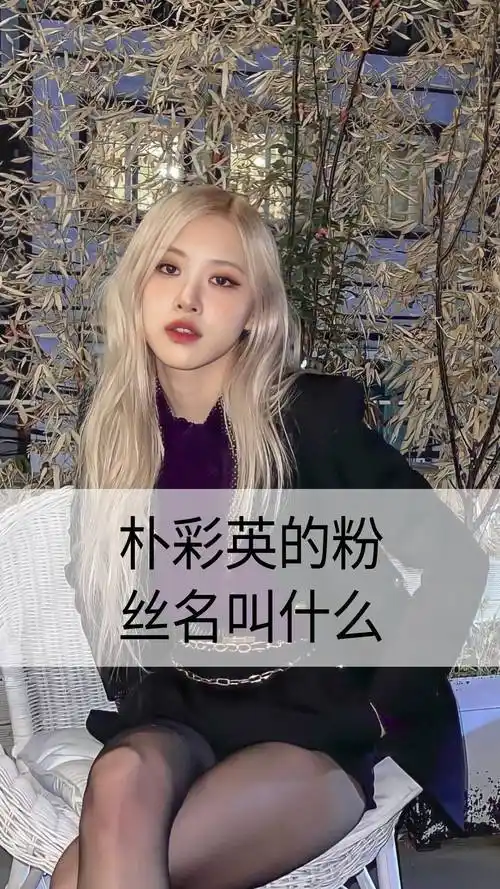 朴彩英的粉丝名叫什么