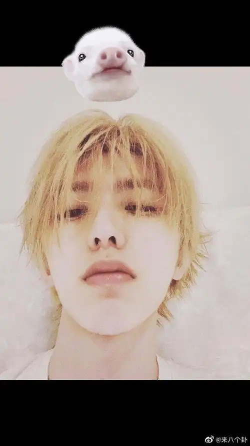 蔡徐坤自拍##蔡徐坤素颜自拍