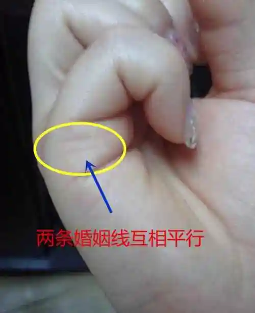 手相线,手相线怎么看