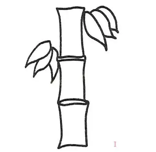 竹子的画法简笔画竹子的画法简笔画步骤