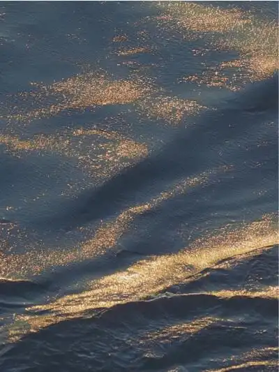 小红书火爆壁纸