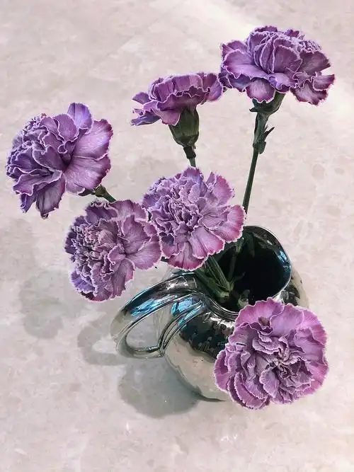 我跟花的聊天记录