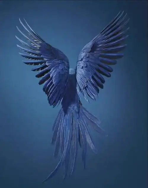 690_879竖版 竖屏