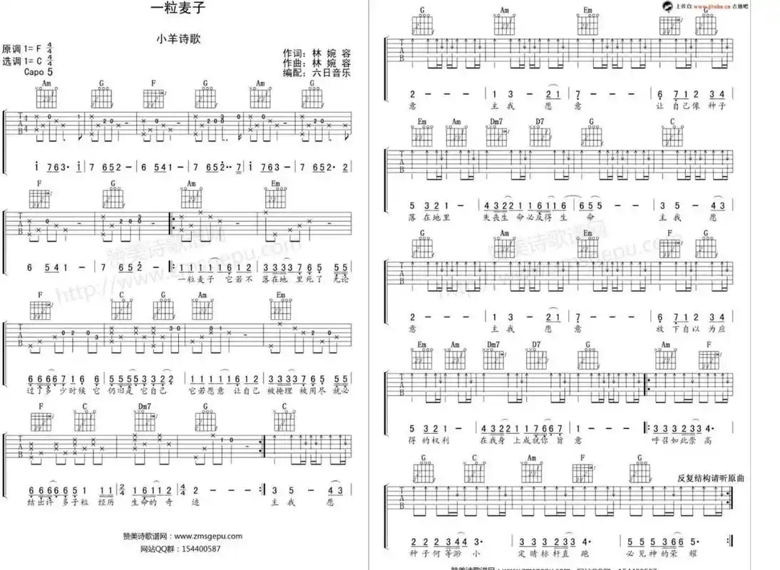 一粒麦子吉他谱分享