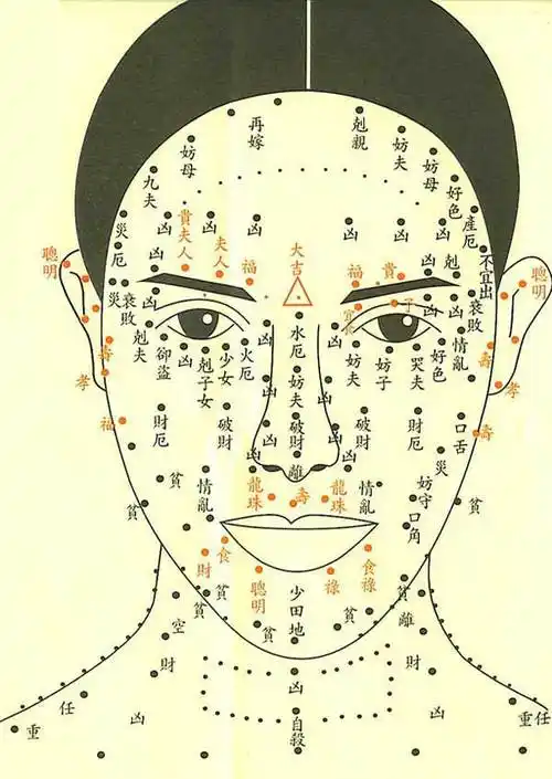 面部男女痣相图解大全【彩图版】 - 起名网
