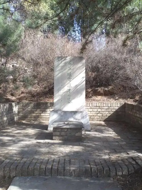 陈的前任党支部书记贾进才之墓