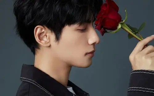 罗云熙情人节写真高清壁纸图片