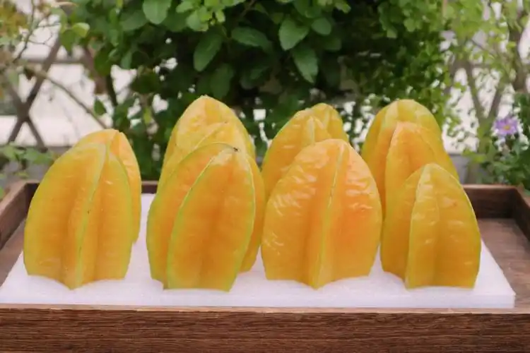 跳绳减脂期杨桃干约起