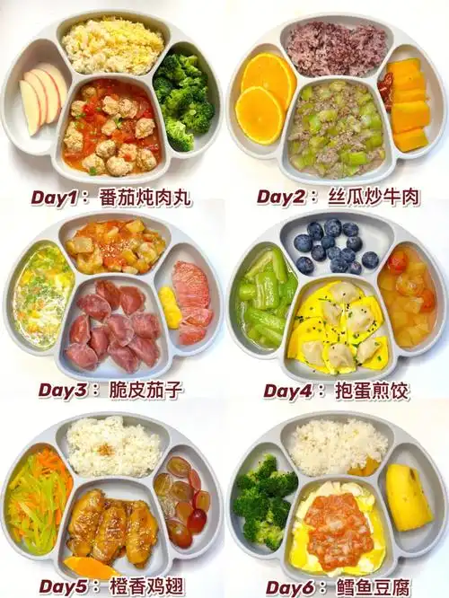 1岁一周营养午餐不重样73附详细教程