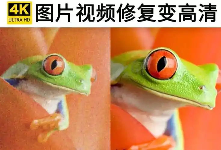 在某宝帮人无损放大图片软件,免费分享#ai图片修复 - 抖音