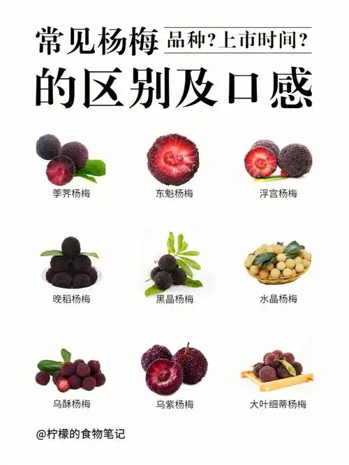 杨梅合集常见杨梅的区别与口感一次看懂