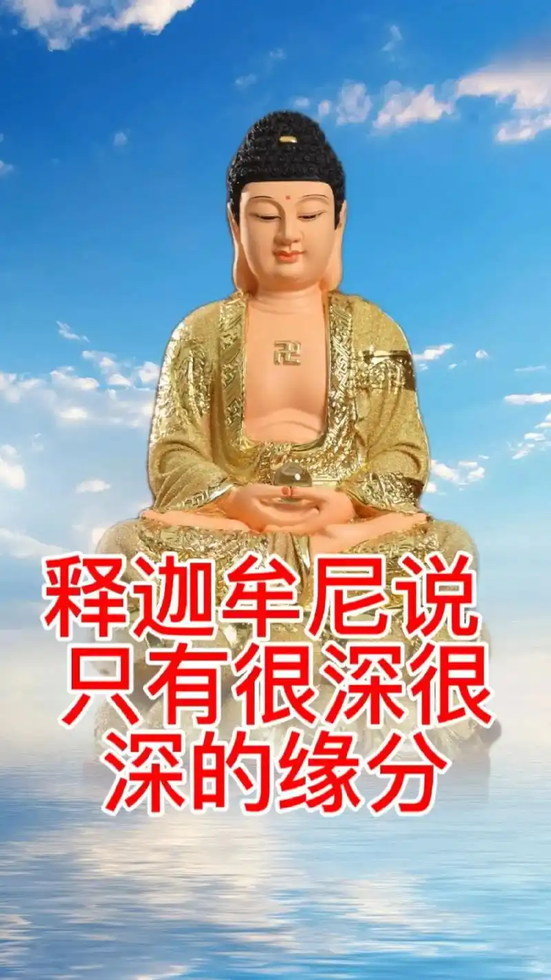 抖音图文来了 #佛说只有很深的缘分才在同一条路上走,一个很 - 抖音