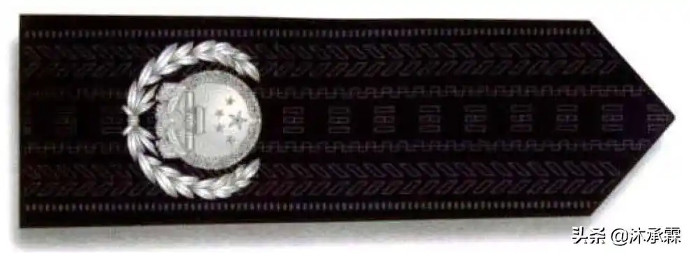 《湄公河行动》总警监角色剧照副部级职务人员:可授予副总警监