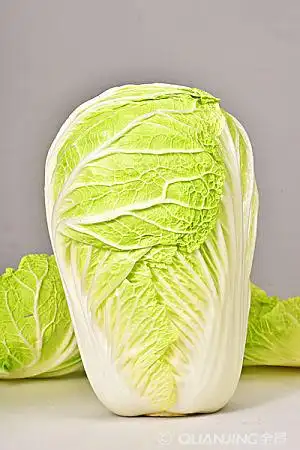 大白菜图片_图片大全