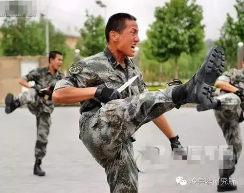 冷兵器实验室|实战图解街头短刀格斗术