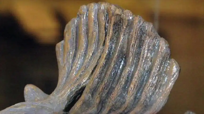 侏罗纪世界:冰冠龙